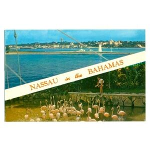 Nassau in the Bahamas Postcard